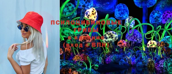 индика Нефтекумск