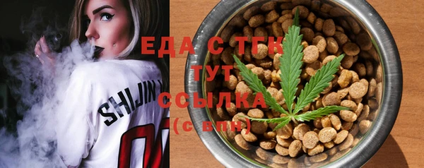 индика Нефтекумск