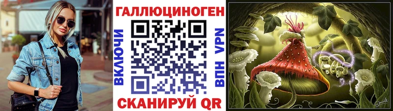 Купить где  Каневская  Галлюциногенные грибы Cubensis 